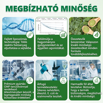 🚀 DOTALE Metabolic Nano Microneedle Patch (Naponta mindössze egyszeri használat · Látható változások akár 7 nap alatt)
